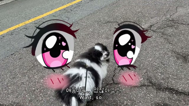 xxapple video 12