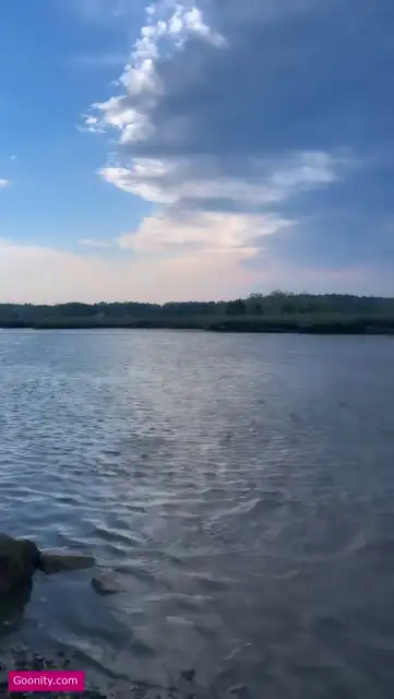 Colleen Sheehan video 28